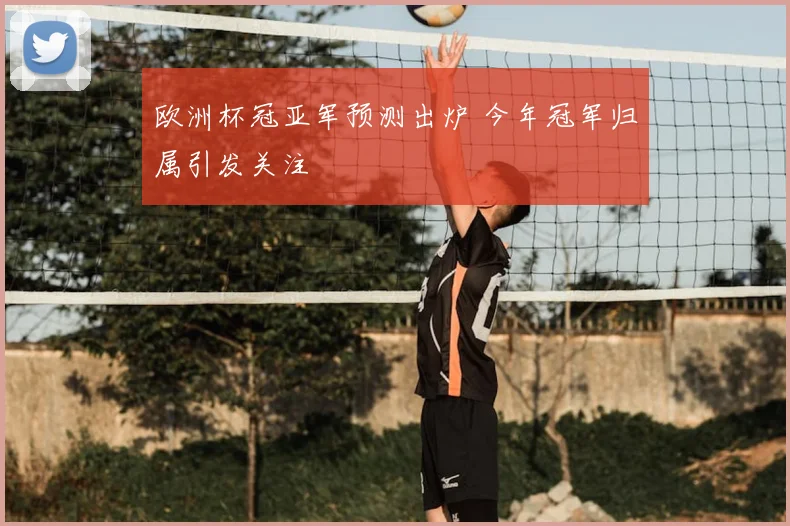 欧洲杯冠亚军预测出炉 今年冠军归属引发关注