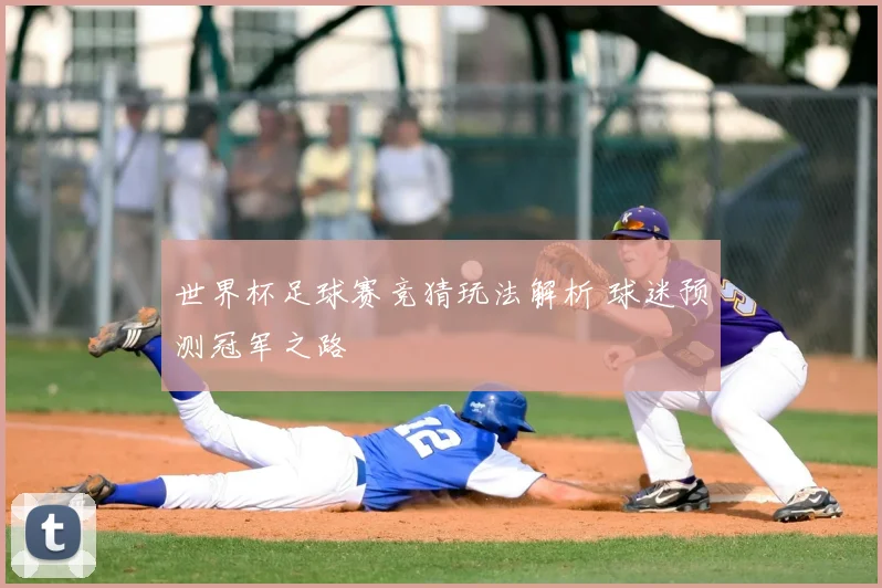 世界杯足球赛竞猜玩法解析 球迷预测冠军之路