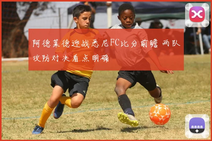 阿德莱德迎战悉尼FC比分前瞻 两队攻防对决看点明确