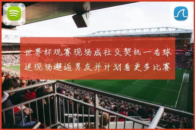 世界杯观赛现场成社交契机一名球迷现场邂逅男友并计划看更多比赛