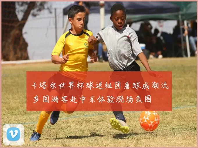 卡塔尔世界杯球迷组团看球成潮流 多国游客赴中东体验现场氛围